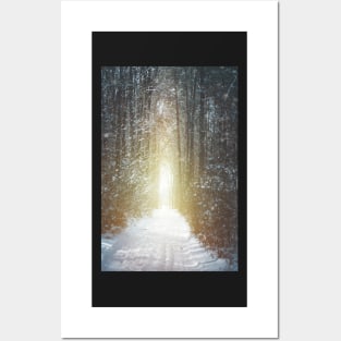 Road through winter forest Posters and Art